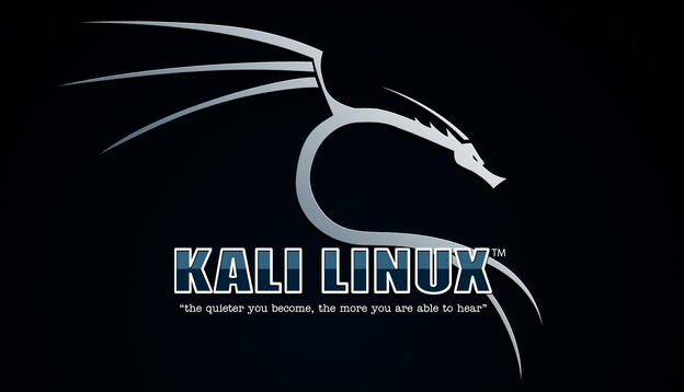 Kali Linux ifconfig & iwconfig Kullanımı
