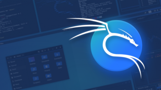 Vmware 16.2 Pro Üzerine Kali Linux Kurulumu