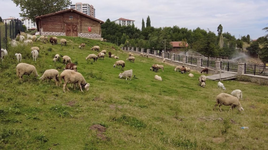 Altınköy Açık Hava Müzesi