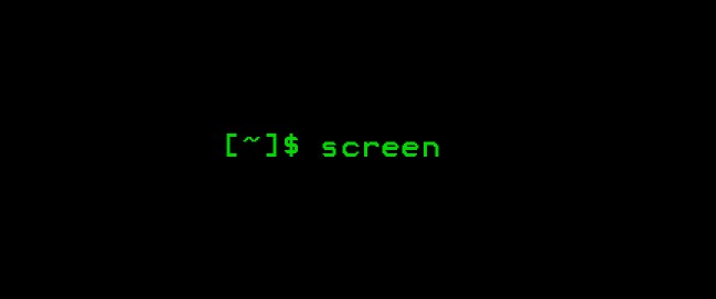 Linux Screen Aracı Kullanımı